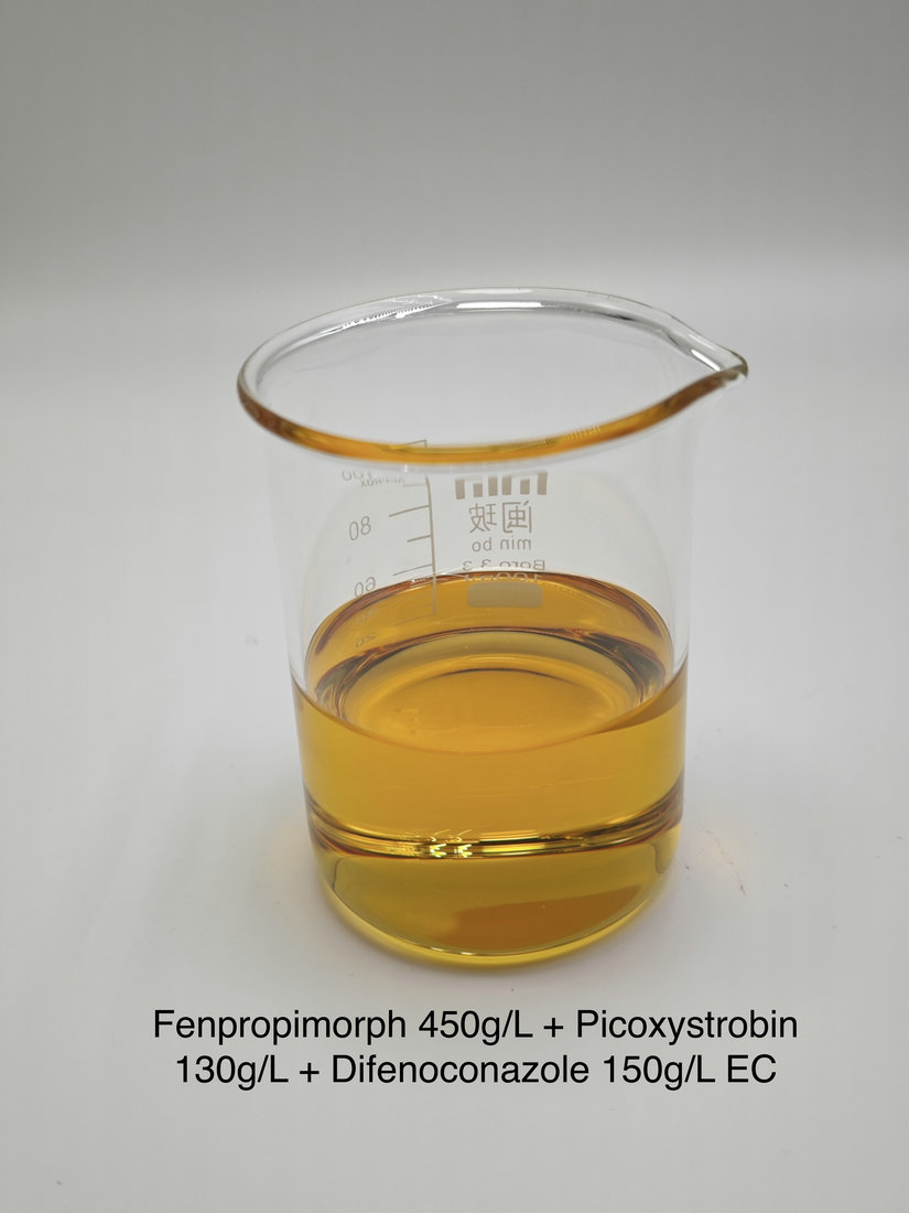 Fenpropimorph 450g/L + Picoxystrobin 130g/L + Difenoconazole 150g/L EC